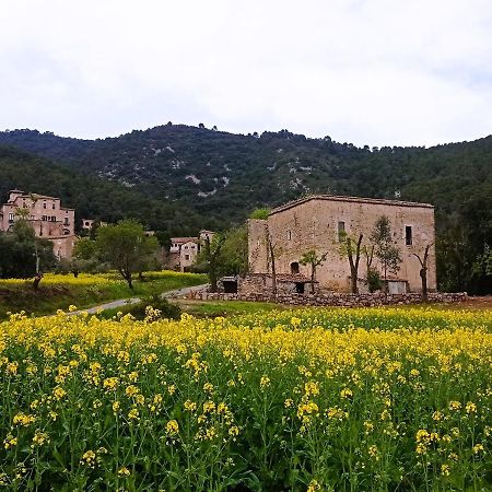 BeudaEl Castell De Segueroアパートメント エクステリア 写真