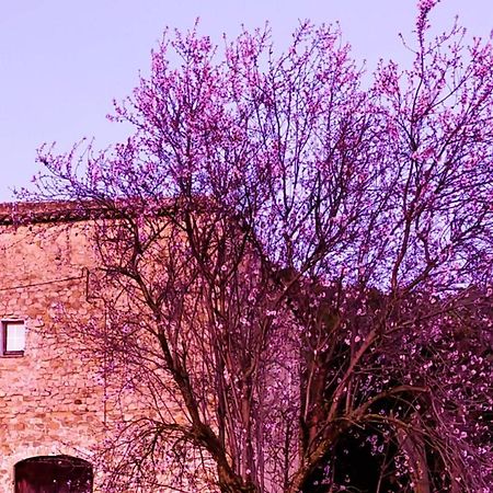 BeudaEl Castell De Segueroアパートメント エクステリア 写真