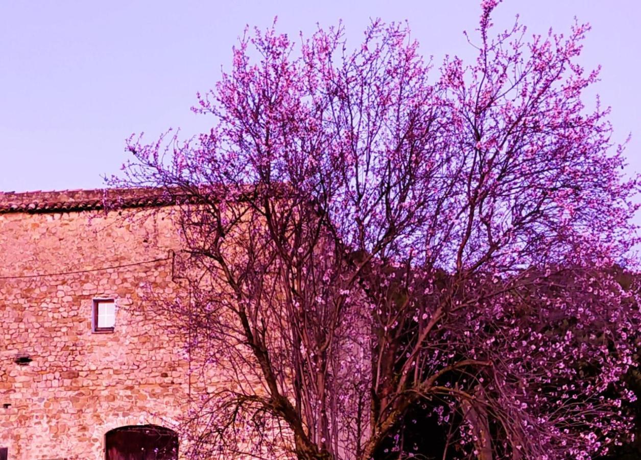 BeudaEl Castell De Segueroアパートメント エクステリア 写真